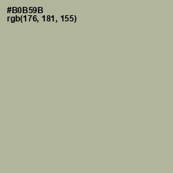 #B0B59B - Heathered Gray Color Image