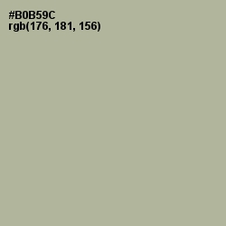 #B0B59C - Heathered Gray Color Image