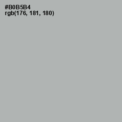 #B0B5B4 - Nobel Color Image