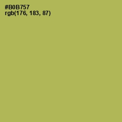 #B0B757 - Olive Green Color Image