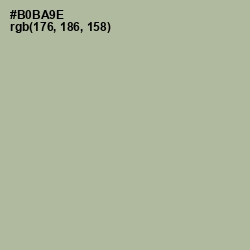 #B0BA9E - Heathered Gray Color Image