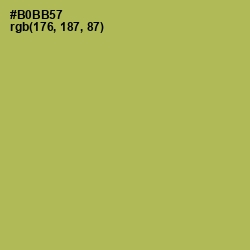 #B0BB57 - Olive Green Color Image