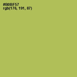 #B0BF57 - Olive Green Color Image