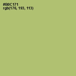 #B0C171 - Wild Willow Color Image