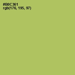 #B0C361 - Wild Willow Color Image