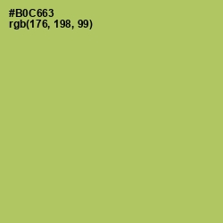 #B0C663 - Wild Willow Color Image