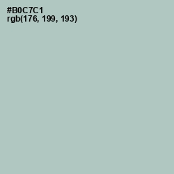 #B0C7C1 - Powder Ash Color Image