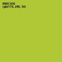 #B0C836 - Key Lime Pie Color Image