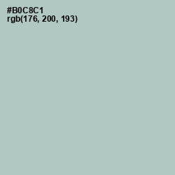 #B0C8C1 - Powder Ash Color Image