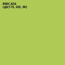 #B0CA56 - Celery Color Image