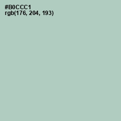 #B0CCC1 - Powder Ash Color Image