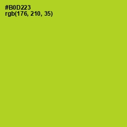 #B0D223 - Key Lime Pie Color Image