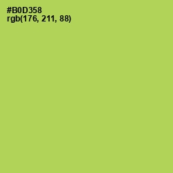 #B0D358 - Conifer Color Image