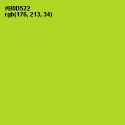 #B0D522 - Key Lime Pie Color Image