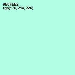 #B0FEE2 - Ice Cold Color Image