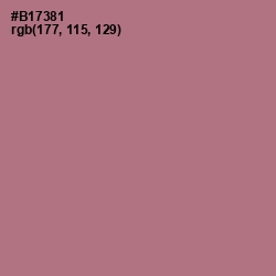 #B17381 - Turkish Rose Color Image