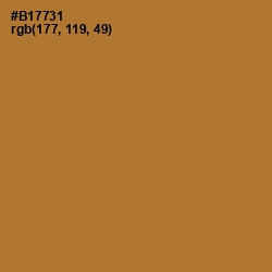 #B17731 - Copper Color Image