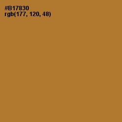 #B17830 - Copper Color Image
