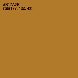 #B17A2B - Copper Color Image