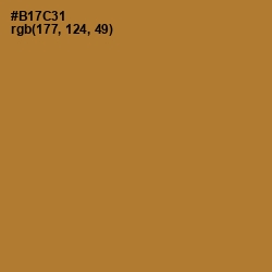 #B17C31 - Copper Color Image