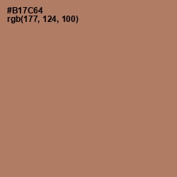 #B17C64 - Coral Tree Color Image