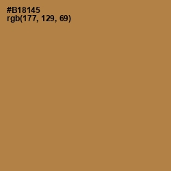 #B18145 - Driftwood Color Image