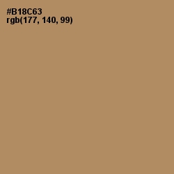 #B18C63 - Teak Color Image