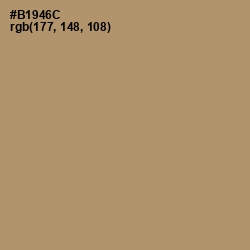 #B1946C - Teak Color Image