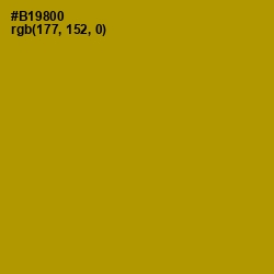 #B19800 - Hot Toddy Color Image