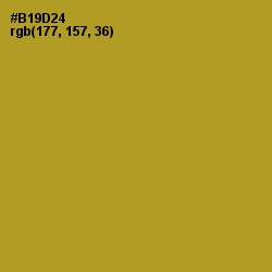 #B19D24 - Lemon Ginger Color Image