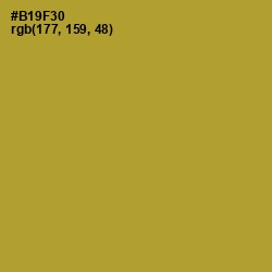 #B19F30 - Lemon Ginger Color Image