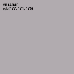 #B1ABAF - Silver Chalice Color Image