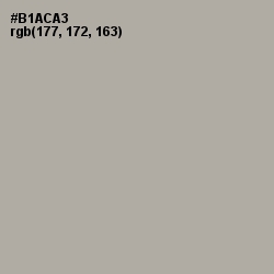 #B1ACA3 - Silver Chalice Color Image