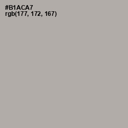 #B1ACA7 - Silver Chalice Color Image