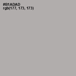 #B1ADAD - Silver Chalice Color Image