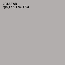 #B1AEAD - Silver Chalice Color Image
