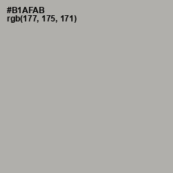 #B1AFAB - Silver Chalice Color Image