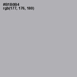 #B1B0B4 - Nobel Color Image