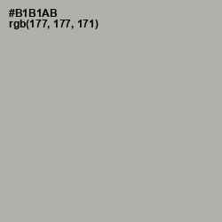 #B1B1AB - Silk Color Image