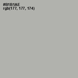 #B1B1AE - Silk Color Image