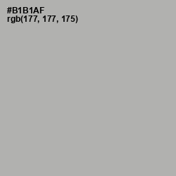 #B1B1AF - Silk Color Image