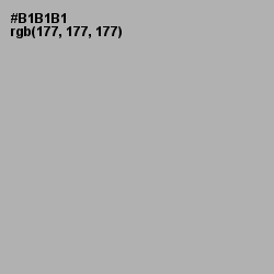 #B1B1B1 - Nobel Color Image