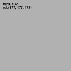#B1B1B2 - Nobel Color Image