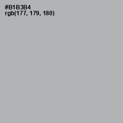 #B1B3B4 - Nobel Color Image