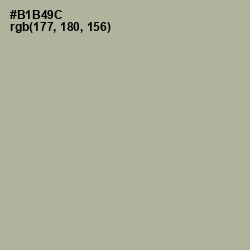 #B1B49C - Heathered Gray Color Image