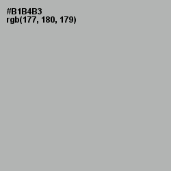 #B1B4B3 - Nobel Color Image