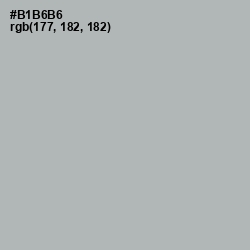 #B1B6B6 - Nobel Color Image