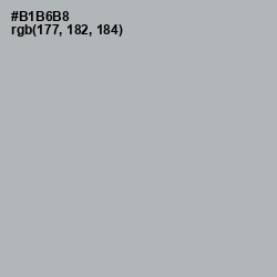 #B1B6B8 - Nobel Color Image