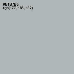 #B1B7B6 - Nobel Color Image
