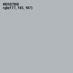 #B1B7BB - Nobel Color Image